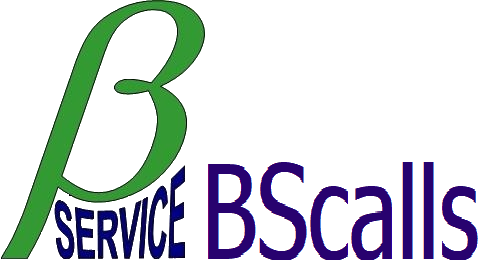 Logo BScalls